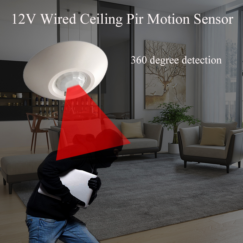 Motion Sensor Pir Wired - 12 فولت السلكية PIR محس حركة